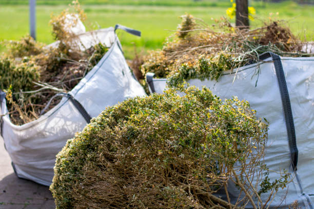 Best Construction Debris Removal  in Carroll, IA