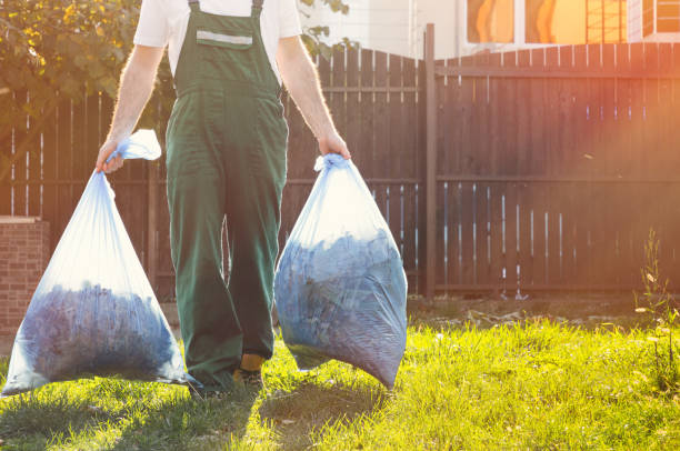 Best Professional Junk Removal  in Carroll, IA