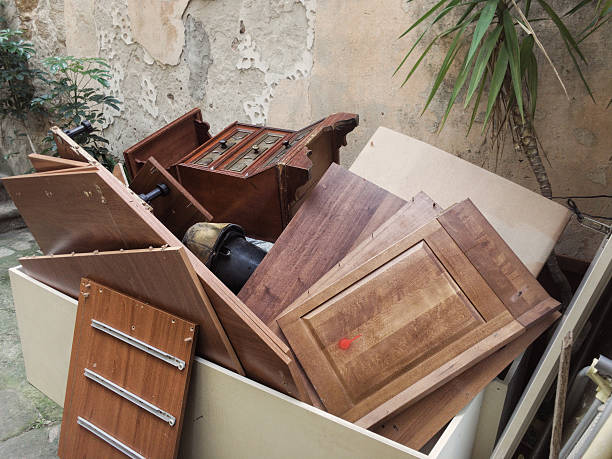 Best Yard Waste Removal  in Carroll, IA